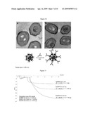 FUNCTIONALIZATION OF GOLD NANOPARTICLES WITH ORIENTED PROTEINS, APPLICATION TO THE HIGH-DENSITY LABELLING OF CELL MEMBRANES diagram and image