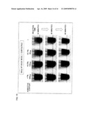 ASBESTOS DETECTION METHOD, ASBESTOS DETECTION AGENT, ASBESTOS DETECTION KIT, METHOD FOR SCREENING CANDIDATE FOR AGENT AIMING AT PREVENTING OR TREATING DISEASE FOR WHICH ASBESTOS IS CAUSATIVE OR WORSENING FACTOR diagram and image