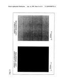 ASBESTOS DETECTION METHOD, ASBESTOS DETECTION AGENT, ASBESTOS DETECTION KIT, METHOD FOR SCREENING CANDIDATE FOR AGENT AIMING AT PREVENTING OR TREATING DISEASE FOR WHICH ASBESTOS IS CAUSATIVE OR WORSENING FACTOR diagram and image