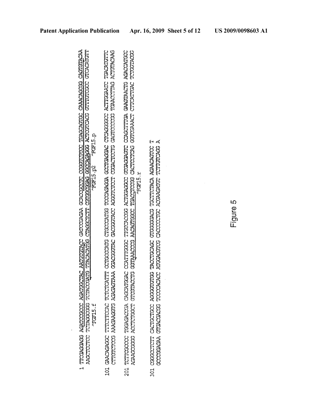 POLYPEPTIDES SHARING SEQUENCE IDENTITY WITH A FIBROBLAST GROWTH FACTOR POLYPEPTIDE AND NUCLEIC ACIDS ENCODING THE SAME - diagram, schematic, and image 06