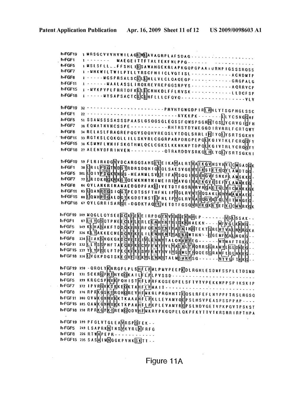 POLYPEPTIDES SHARING SEQUENCE IDENTITY WITH A FIBROBLAST GROWTH FACTOR POLYPEPTIDE AND NUCLEIC ACIDS ENCODING THE SAME - diagram, schematic, and image 12