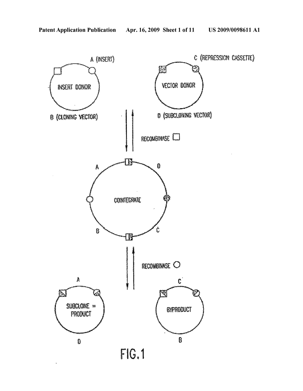 Self-cleaving affinity tags and methods of use - diagram, schematic, and image 02
