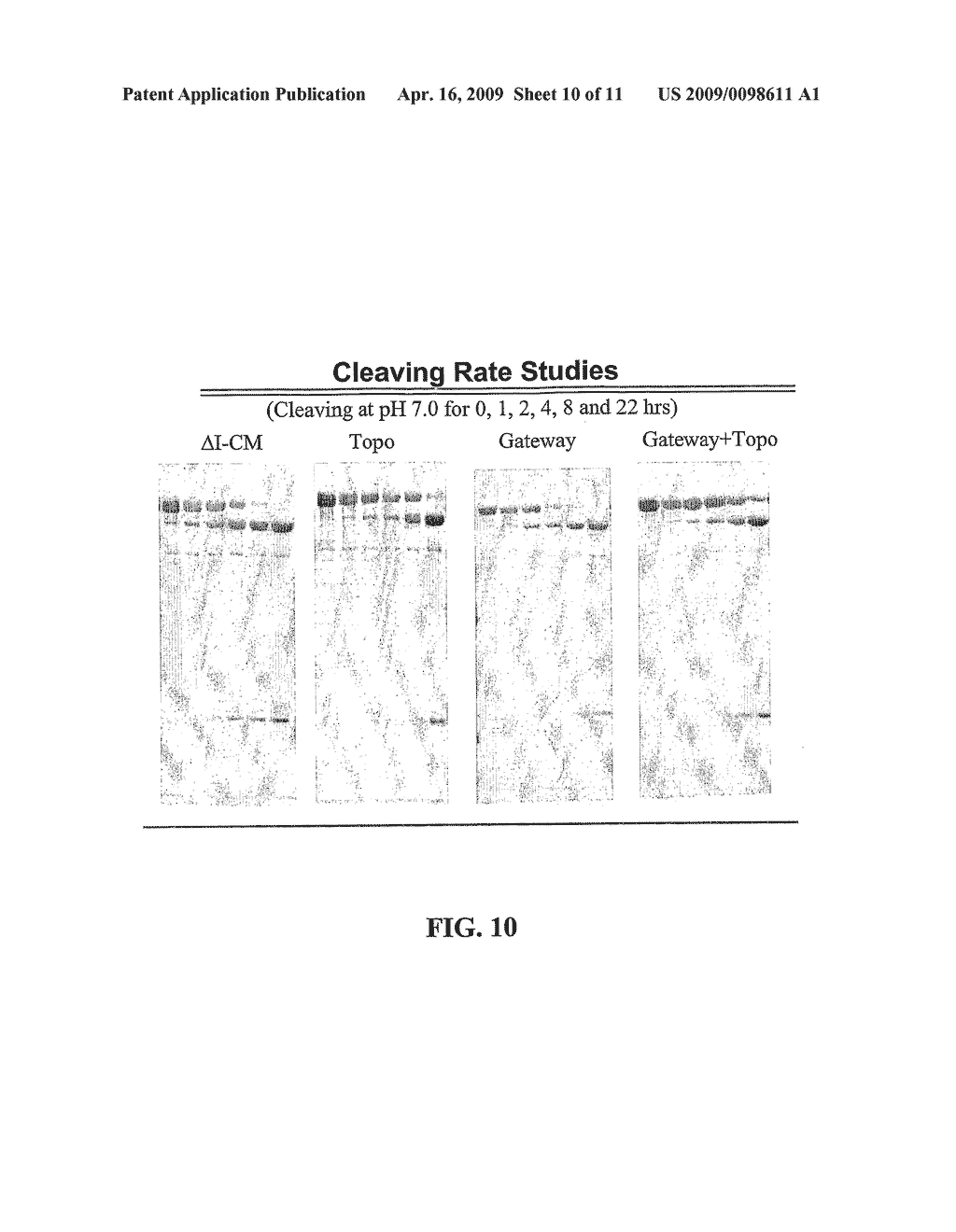 Self-cleaving affinity tags and methods of use - diagram, schematic, and image 11