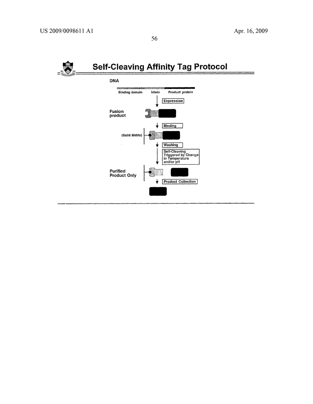 Self-cleaving affinity tags and methods of use - diagram, schematic, and image 68