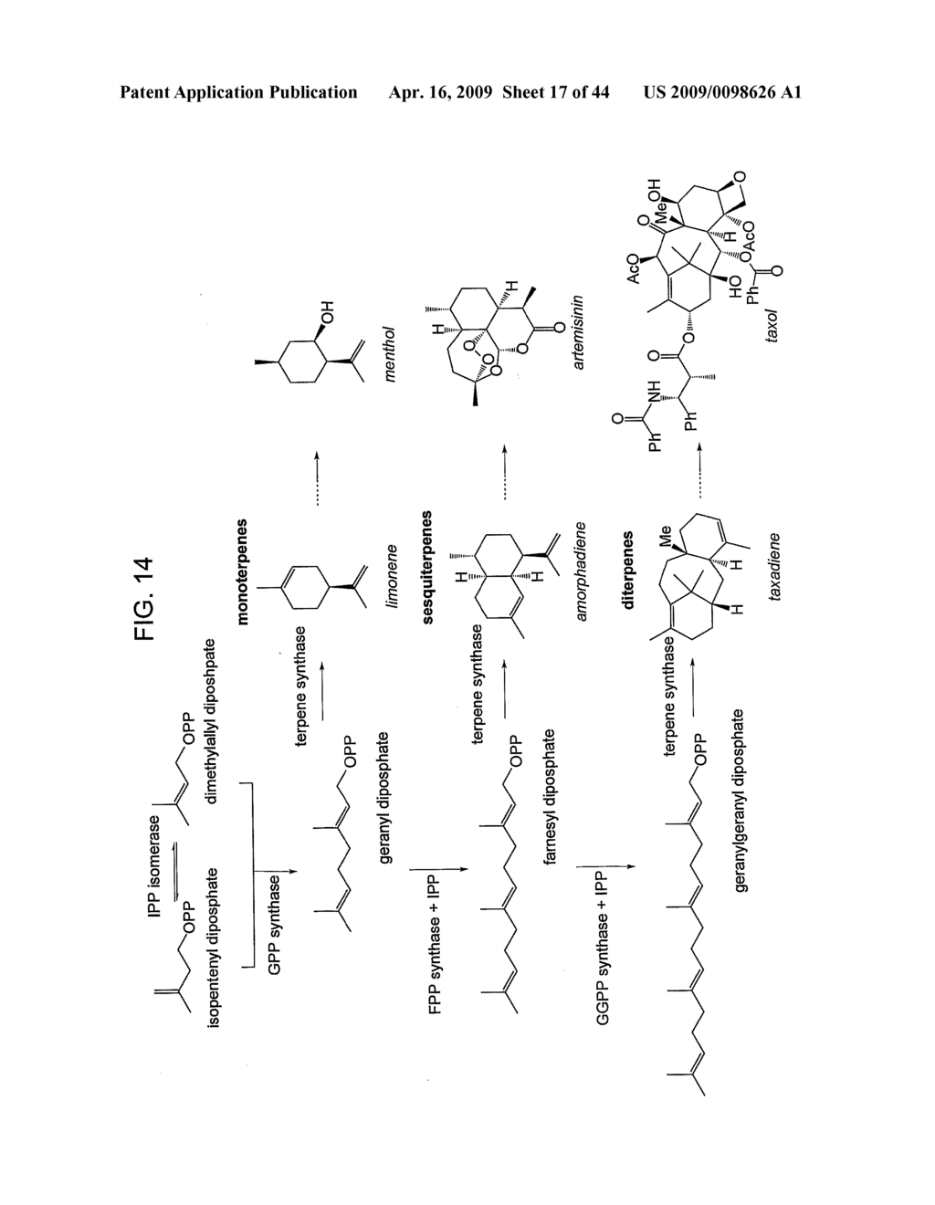 NUCLEIC ACIDS ENCODING MODIFIED CYTOCHROME P450 ENZYMES AND METHODS OF USE THEREOF - diagram, schematic, and image 18