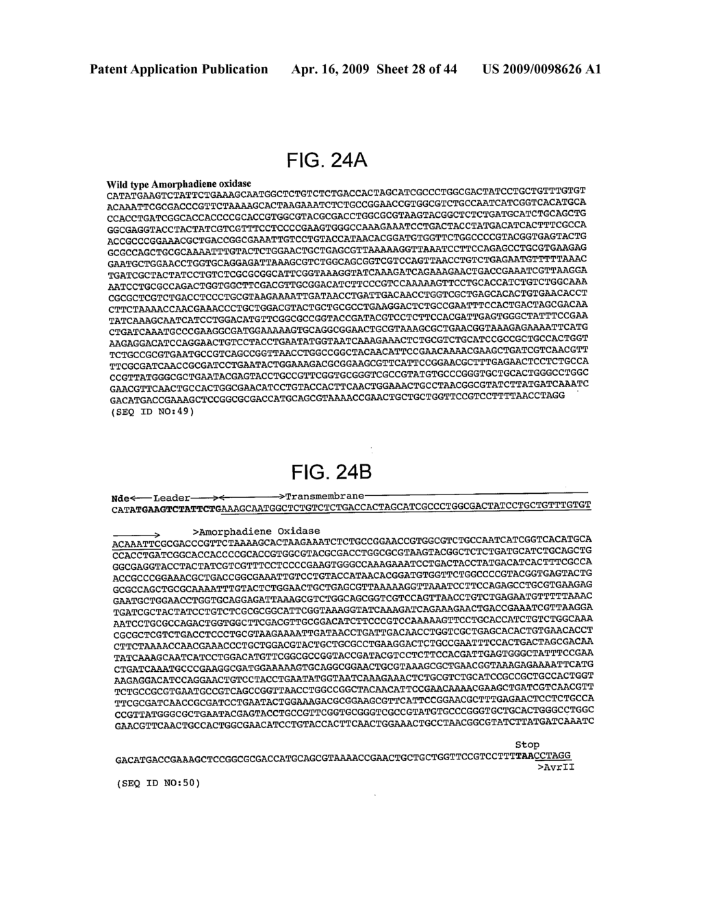 NUCLEIC ACIDS ENCODING MODIFIED CYTOCHROME P450 ENZYMES AND METHODS OF USE THEREOF - diagram, schematic, and image 29