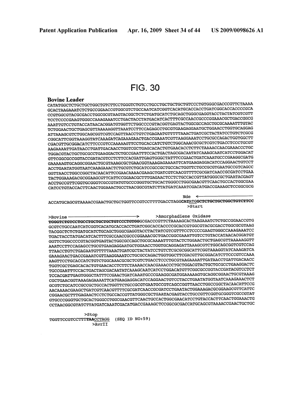 NUCLEIC ACIDS ENCODING MODIFIED CYTOCHROME P450 ENZYMES AND METHODS OF USE THEREOF - diagram, schematic, and image 35