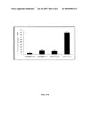 HMGN2 peptides and related molecules that selectively home to tumor blood vessels and tumor cells diagram and image