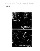 Regulators of cell- or organ-differentiation and their application to method of regulating morphogenesis diagram and image