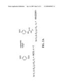 Methods of Modifying Support Surfaces for the Immobilization of Particles and the Use of the Immobilized Particles for Analyzing Nucleic Acids diagram and image