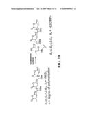Methods of Modifying Support Surfaces for the Immobilization of Particles and the Use of the Immobilized Particles for Analyzing Nucleic Acids diagram and image