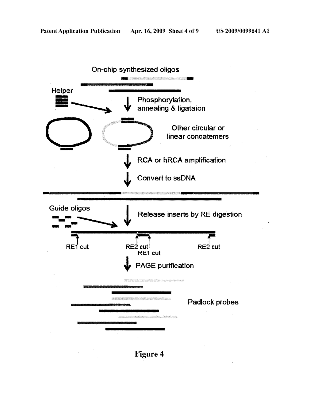 METHODS FOR MAKING NUCLEOTIDE PROBES FOR SEQUENCING AND SYNTHESIS - diagram, schematic, and image 05