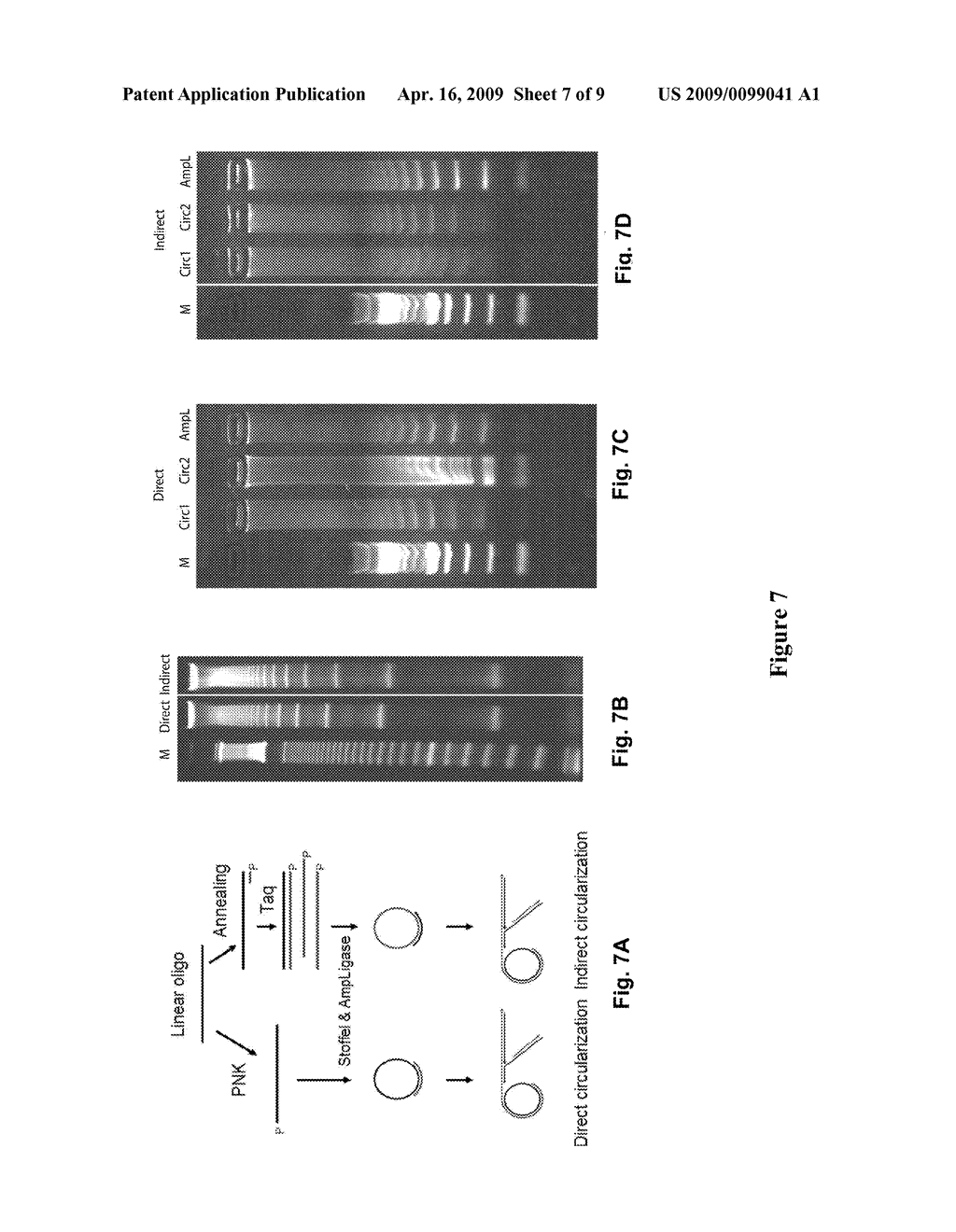 METHODS FOR MAKING NUCLEOTIDE PROBES FOR SEQUENCING AND SYNTHESIS - diagram, schematic, and image 08