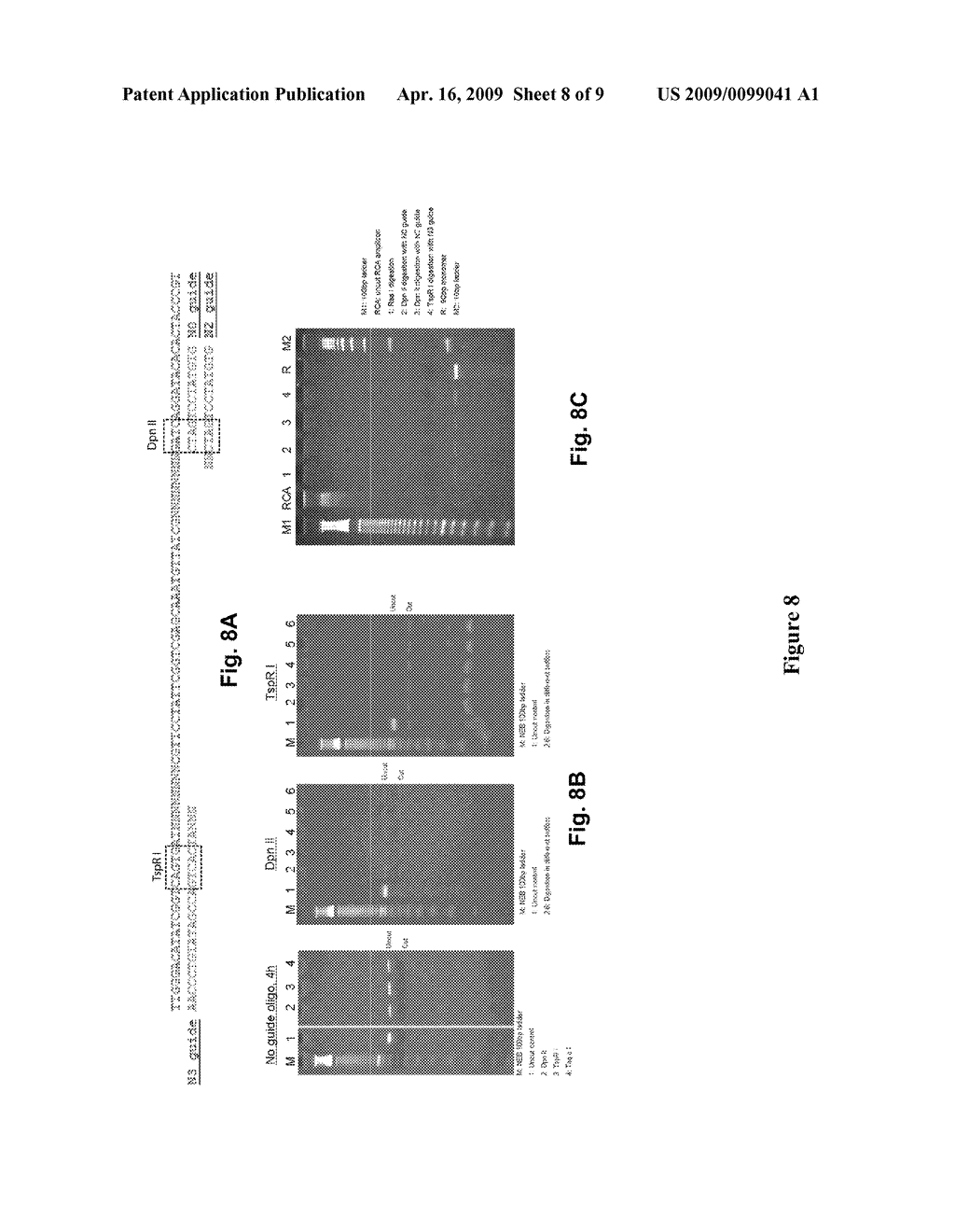 METHODS FOR MAKING NUCLEOTIDE PROBES FOR SEQUENCING AND SYNTHESIS - diagram, schematic, and image 09