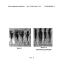 Pyrvinium For The Treatment of Cancer diagram and image