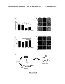 TREATMENT OF RETT SYNDROME AND OTHER DISORDERS diagram and image