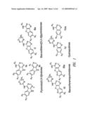 Protein Kinase Inhibitors diagram and image