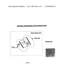 SYSTEMS AND METHODS FOR IMPLEMENTING HEART GEOMETRICAL MEASUREMENTS diagram and image