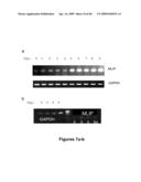 MUSCLE LAMIN A/C INTERACTING PROTEIN, GENE ENCODING SAME, AND USES THEREFOR diagram and image