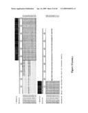 MUSCLE LAMIN A/C INTERACTING PROTEIN, GENE ENCODING SAME, AND USES THEREFOR diagram and image