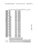 MUSCLE LAMIN A/C INTERACTING PROTEIN, GENE ENCODING SAME, AND USES THEREFOR diagram and image