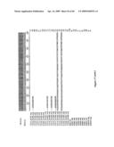 MUSCLE LAMIN A/C INTERACTING PROTEIN, GENE ENCODING SAME, AND USES THEREFOR diagram and image