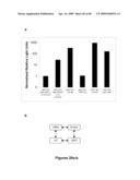 MUSCLE LAMIN A/C INTERACTING PROTEIN, GENE ENCODING SAME, AND USES THEREFOR diagram and image