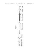 Transcription Factor Stress-Related Proteins and Methods of Use in Plants diagram and image