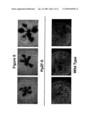 Transcription Factor Stress-Related Proteins and Methods of Use in Plants diagram and image