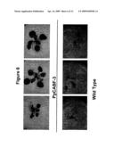 Transcription Factor Stress-Related Proteins and Methods of Use in Plants diagram and image