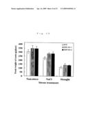 PLANTS WITH IMPROVED MORPHOGENESIS AND METHOD OF CONSTRUCTING THE SAME diagram and image