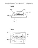 NANOSTRUCTURES WITH ELECTRODEPOSITED NANOPARTICLES diagram and image