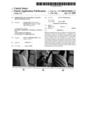 Error Diffusion for Display Frame Buffer Power Saving diagram and image