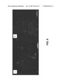 ANGIOGENIC CELLS FROM HUMAN PLACENTAL PERFUSATE diagram and image