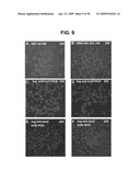 METHODS AND COMPOSITIONS FOR TREATMENT AND DIAGNOSIS OF FIBROSIS, TUMOR INVASION, ANGIOGENESIS, AND METASTASIS diagram and image