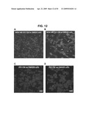 METHODS AND COMPOSITIONS FOR TREATMENT AND DIAGNOSIS OF FIBROSIS, TUMOR INVASION, ANGIOGENESIS, AND METASTASIS diagram and image