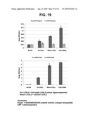 METHODS AND COMPOSITIONS FOR TREATMENT AND DIAGNOSIS OF FIBROSIS, TUMOR INVASION, ANGIOGENESIS, AND METASTASIS diagram and image