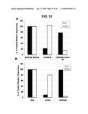 METHODS AND COMPOSITIONS FOR TREATMENT AND DIAGNOSIS OF FIBROSIS, TUMOR INVASION, ANGIOGENESIS, AND METASTASIS diagram and image