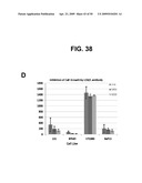 METHODS AND COMPOSITIONS FOR TREATMENT AND DIAGNOSIS OF FIBROSIS, TUMOR INVASION, ANGIOGENESIS, AND METASTASIS diagram and image