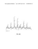 Peptide-Based Influenza Vaccine Formulation diagram and image