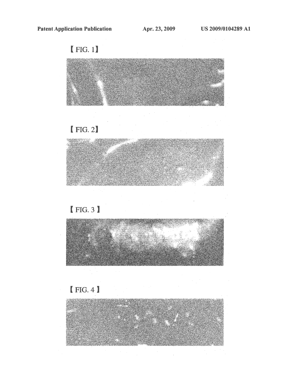 FORMULATION OF ANTIMICROBIAL FILM, COATINGS AND/OR SPRAYS CONTAINING PORTULACA OLERACEA EXTRACT AND FILM PREPARED THEREFROM - diagram, schematic, and image 02