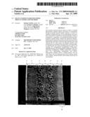 MULTI-LAYERED FOAMED POLYMERIC OBJECTS AND RELATED METHODS diagram and image