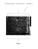 MULTI-LAYERED FOAMED POLYMERIC OBJECTS AND RELATED METHODS diagram and image