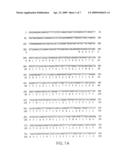 Human G-Protein Coupled Receptors diagram and image