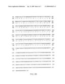 Human G-Protein Coupled Receptors diagram and image