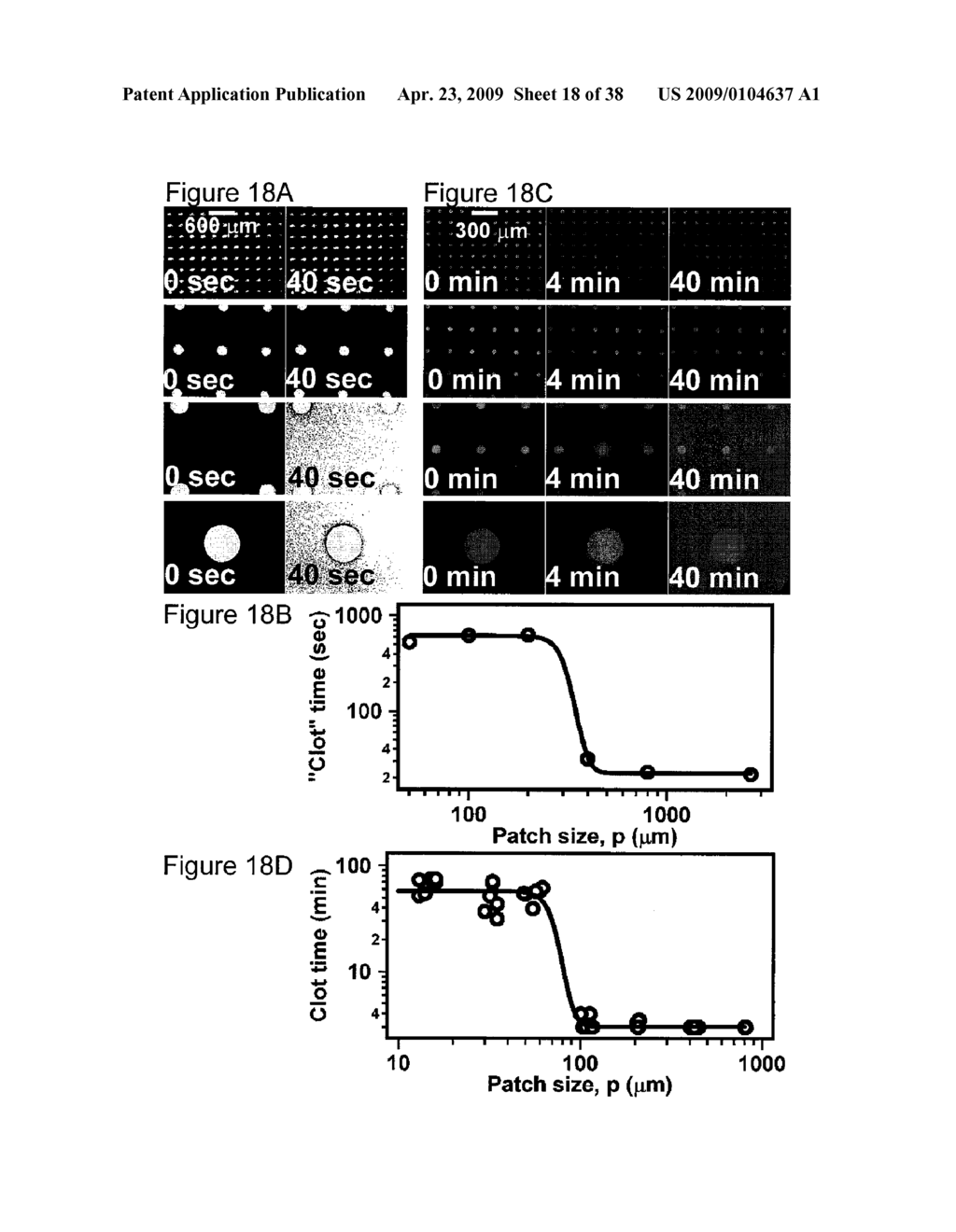 Method and Apparatus for Assaying Blood Clotting - diagram, schematic, and image 19