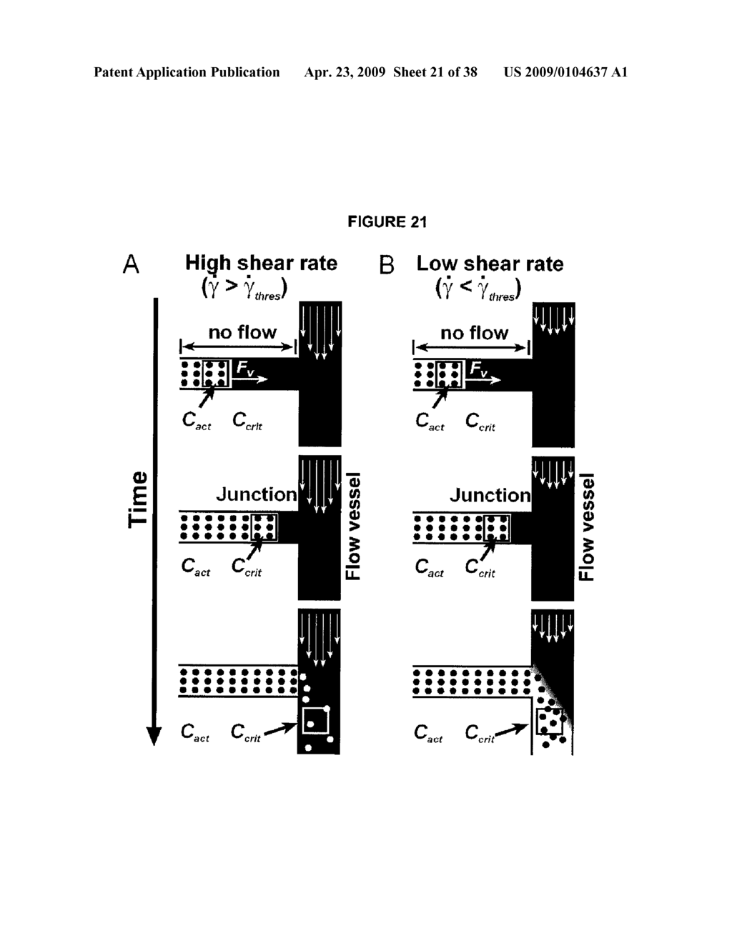 Method and Apparatus for Assaying Blood Clotting - diagram, schematic, and image 22