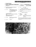 ISOLATION AND TRANSPLANTATION OF RETINAL STEM CELLS diagram and image