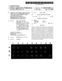 ARRAY OF NUCLEOTIDIC SEQUENCES FOR THE DETECTION AND IDENTIFICATION OF GENES THAT CODIFY PROTEINS WITH ACTIVITIES RELEVANT IN BIOTECHNOLOGY PRESENT IN A MICROBIOLOGICAL SAMPLE, AND METHOD FOR USING THIS ARRAY diagram and image