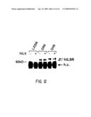 Interleukin-9 receptor mutants diagram and image